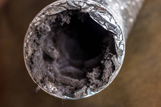 Best Commercial HVAC Duct Cleaning  in Batesville, TX