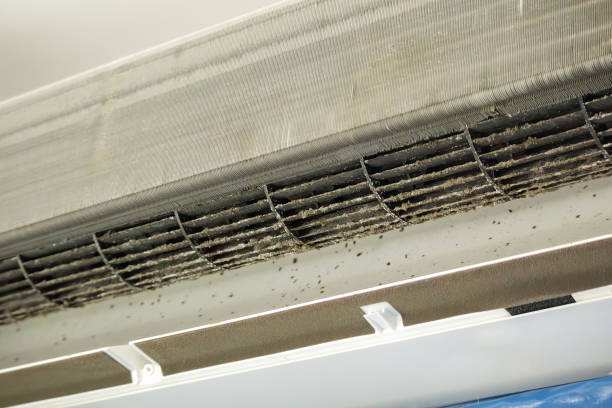 Best Professional Duct Cleaning Services  in Batesville, TX